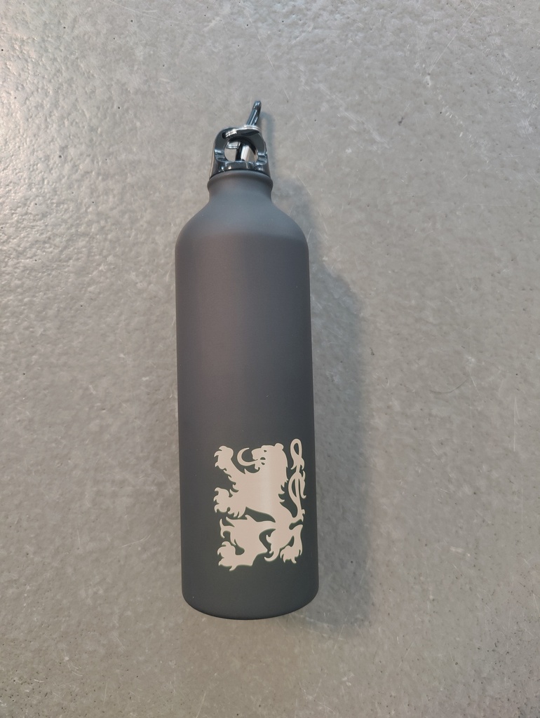 Drinkfles metaal' Leeuw'