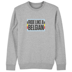Sweater 'Ride like a Belgian'  (grijs)  L (S)