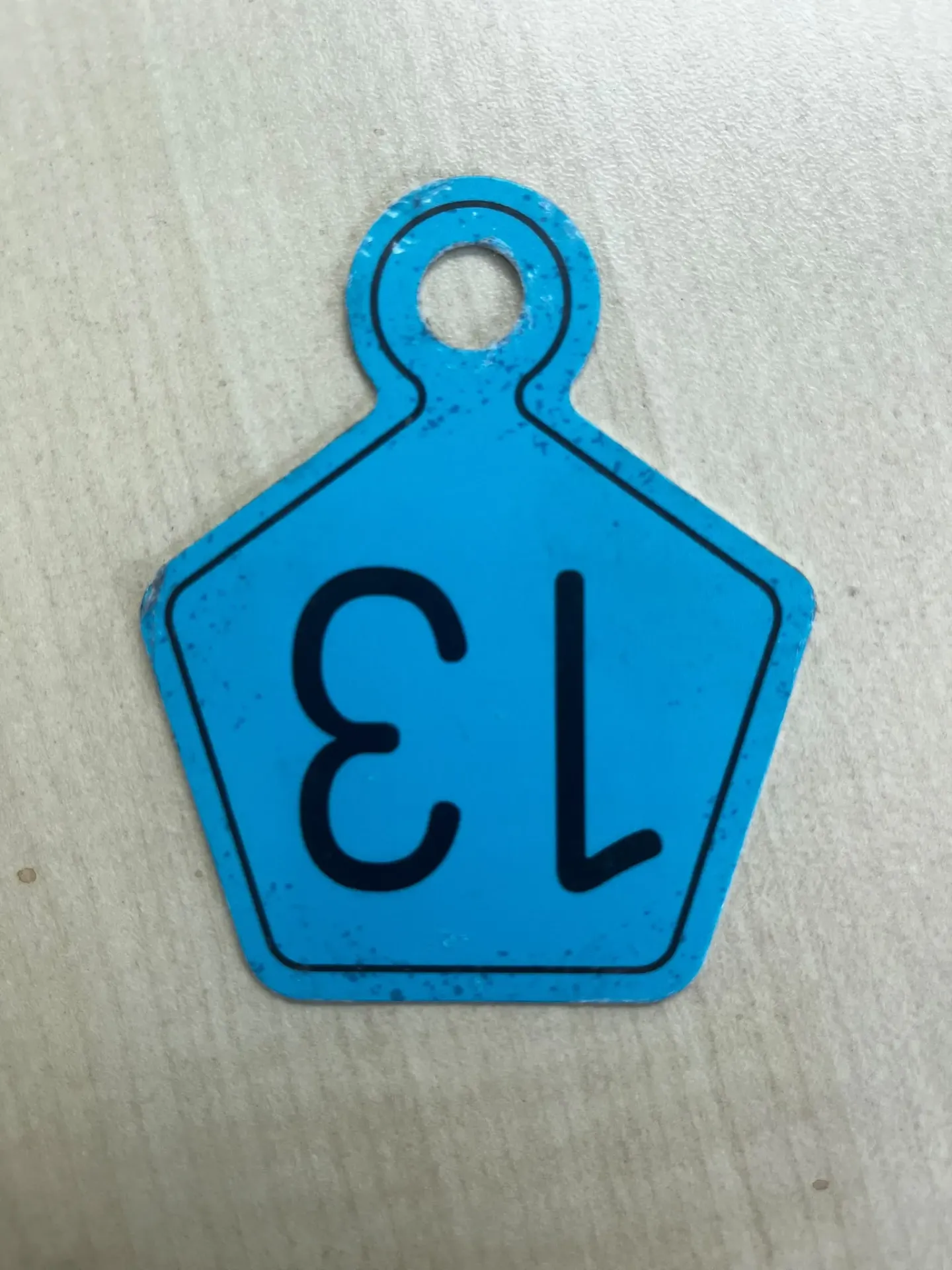 Bike Tags