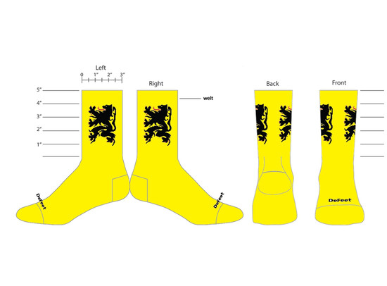 Sokken Defeet 'Lion of Flanders' Sunshine