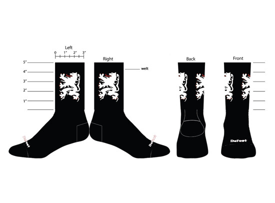 Sokken Defeet 'Lion of Flanders' Sunshine (kopie)