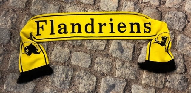 Sjaal 'Flandriens, niet te temmen' (Vlaamse Leeuw)
