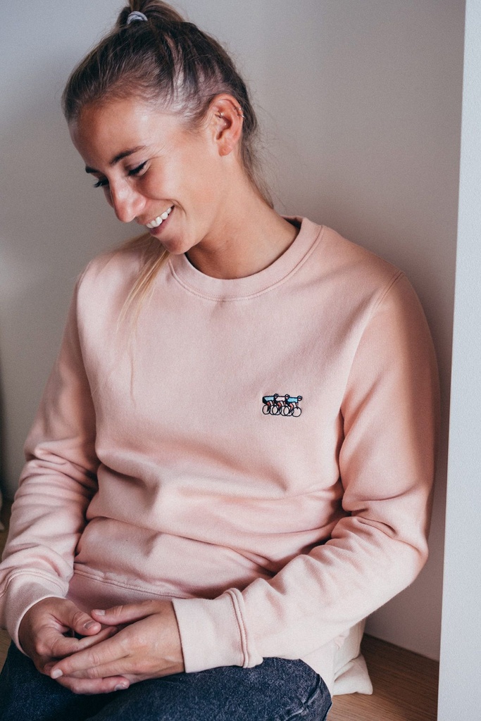 Erstwhile Sweater 'Waaier' (misty roze)